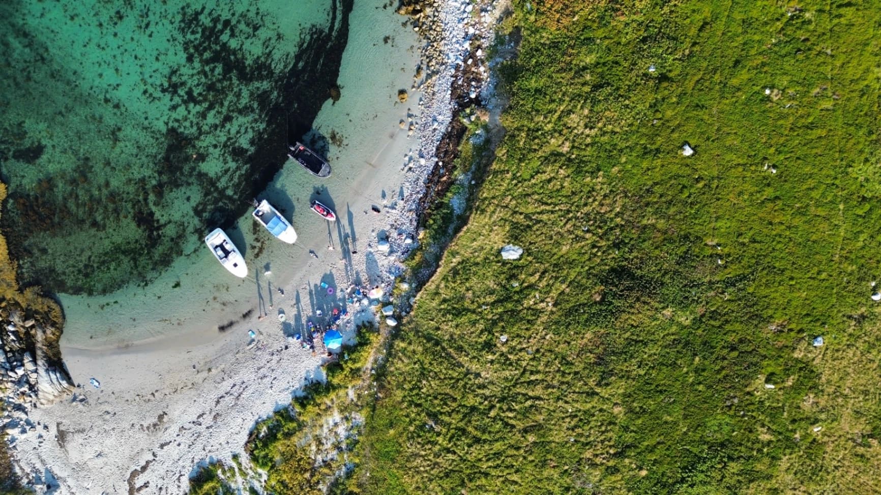 Immerse Yourself in Nature's Canvas